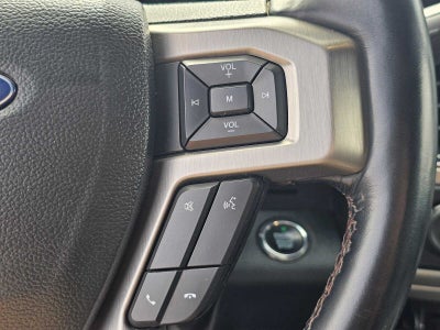 2022 Ford Super Duty F-350 SRW Pickup Platinum