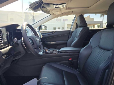 2024 Lexus NX 350h 