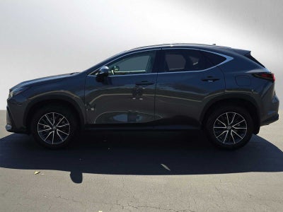 2024 Lexus NX 350h 