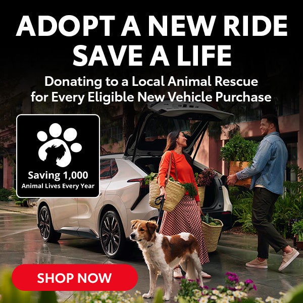 adopt