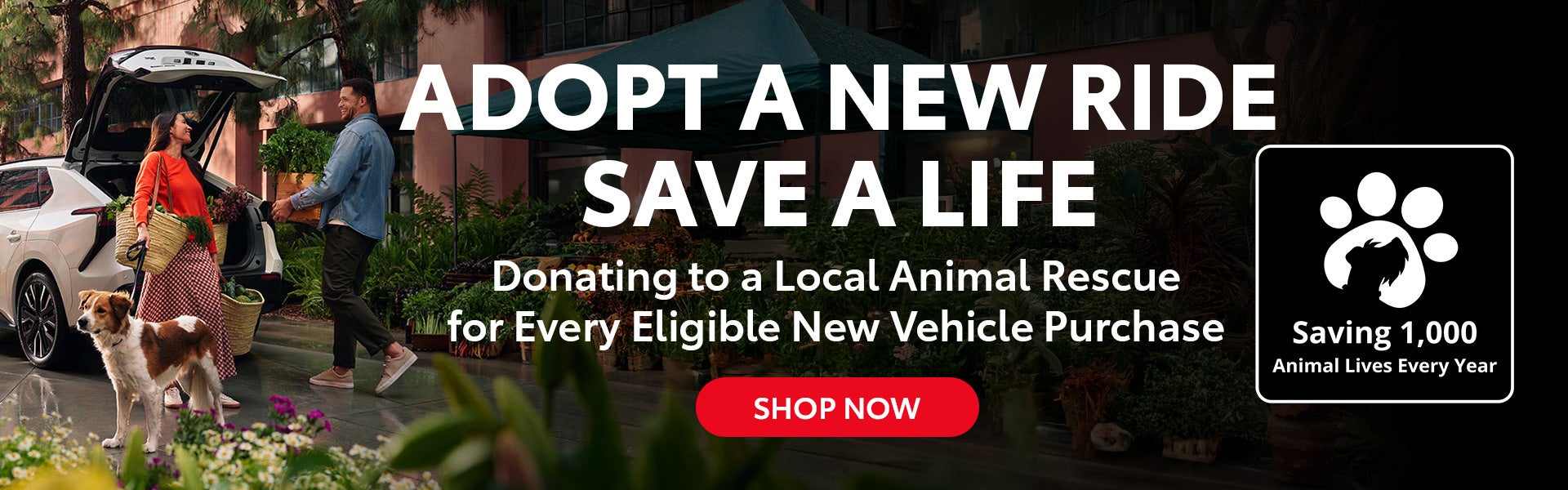 adopt